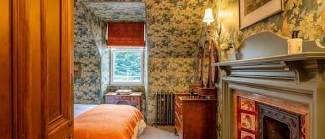A room with a fireplace, a window with a view of greenery, a desk with books, and a radiator.