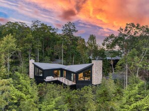 Exterior - Architect-Designed Luxury Lodge• Hot Tub • Views (Hiawassee)