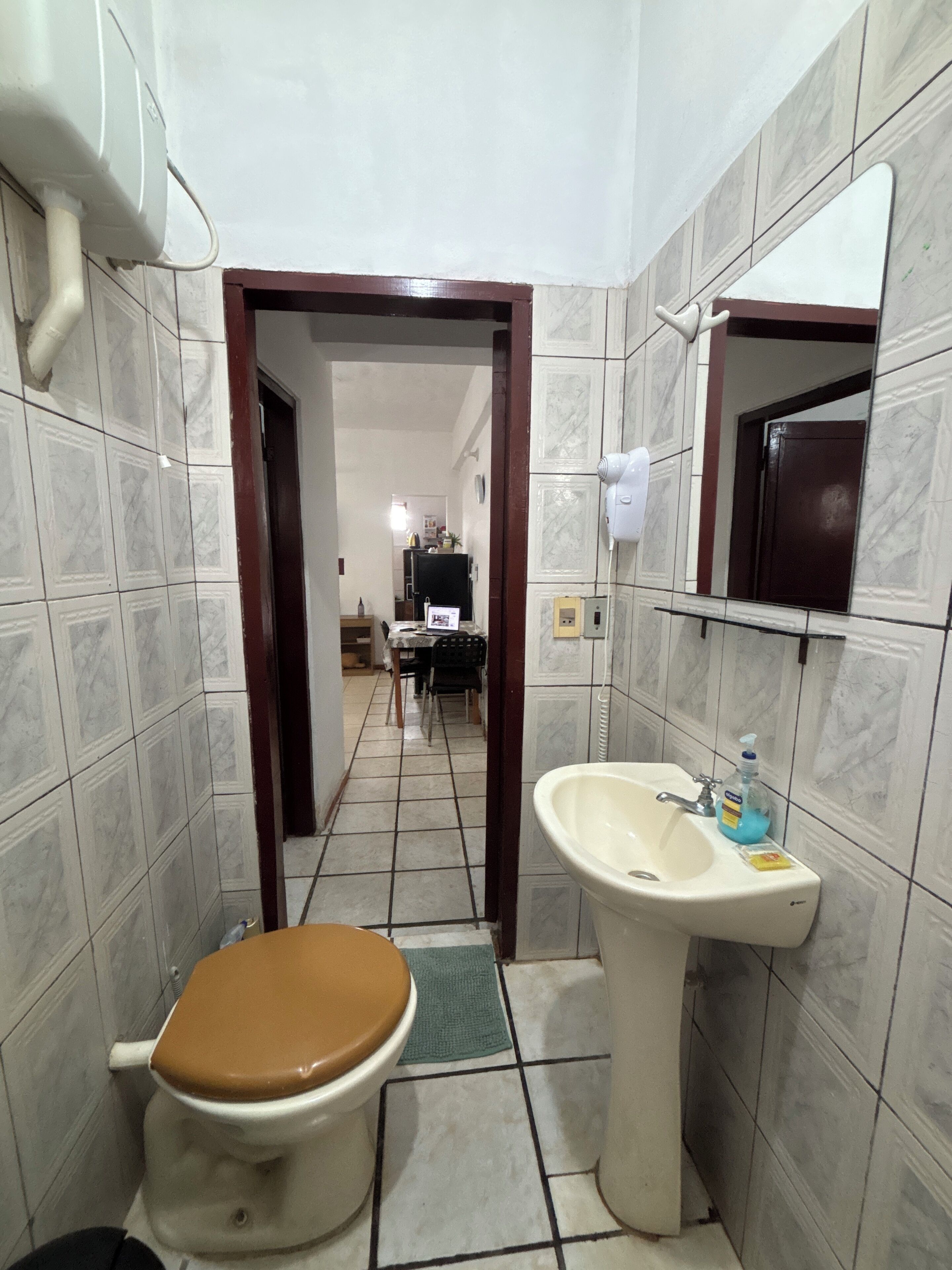 Hair dryer, soap, toilet paper