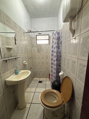 Secador de pelo, jabón y papel higiénico