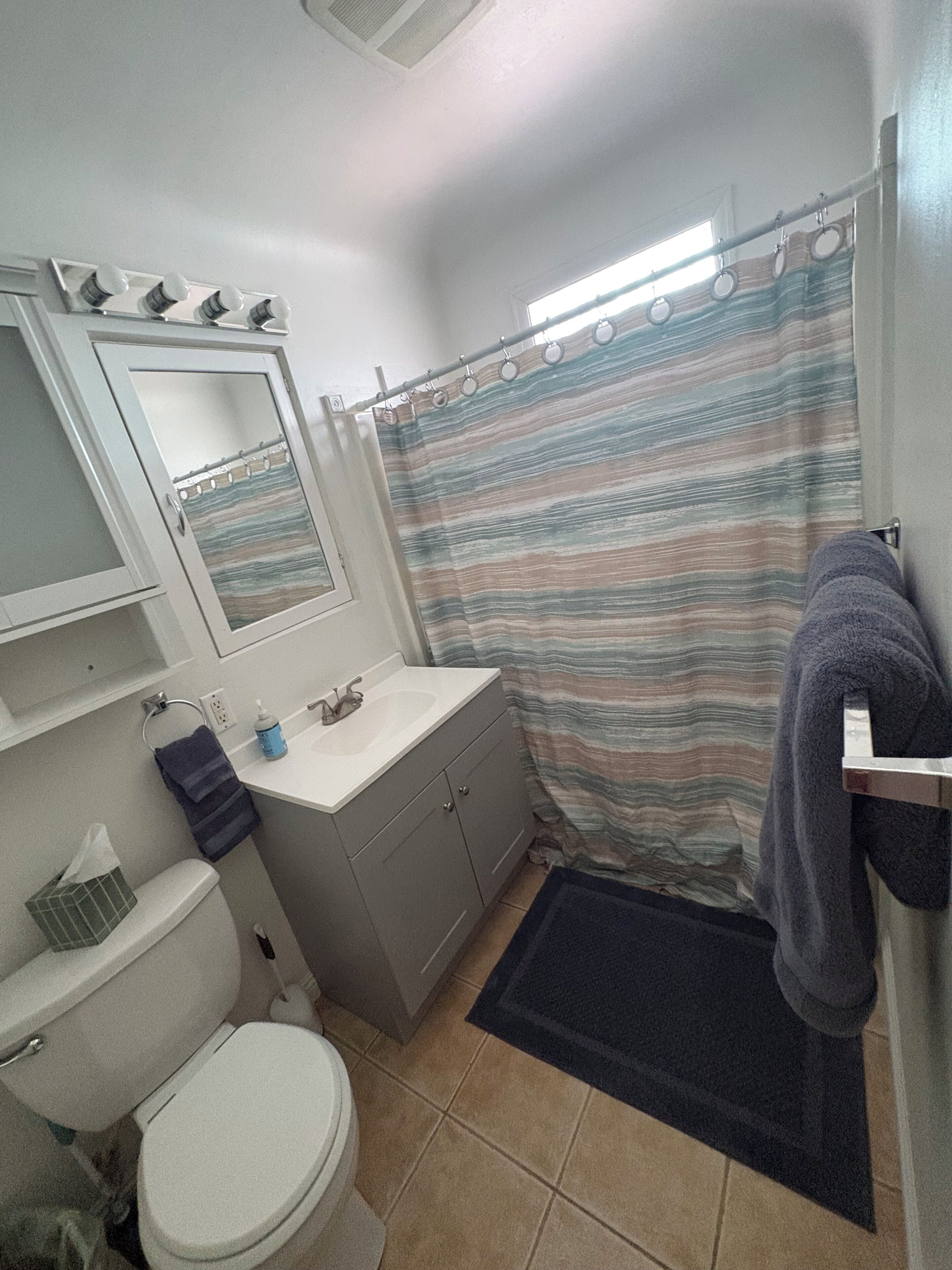 A bathroom with a toilet, sink, mirror, and shower curtain.