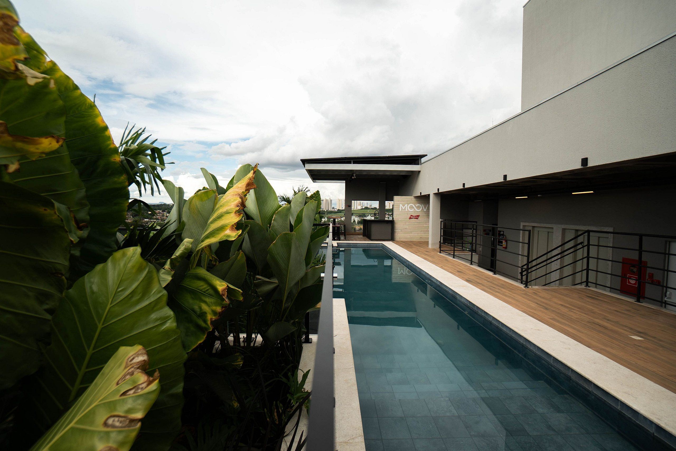 Una piscina de diseño moderno, rodeada de exuberante vegetación y un edificio con techo plano.