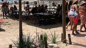 Un área de comedor junto a la playa con mesas y sombrillas, rodeada de palmeras.