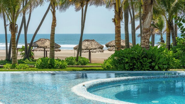 Una piscina de borde curvo, rodeada de palmeras y vistas a la playa.