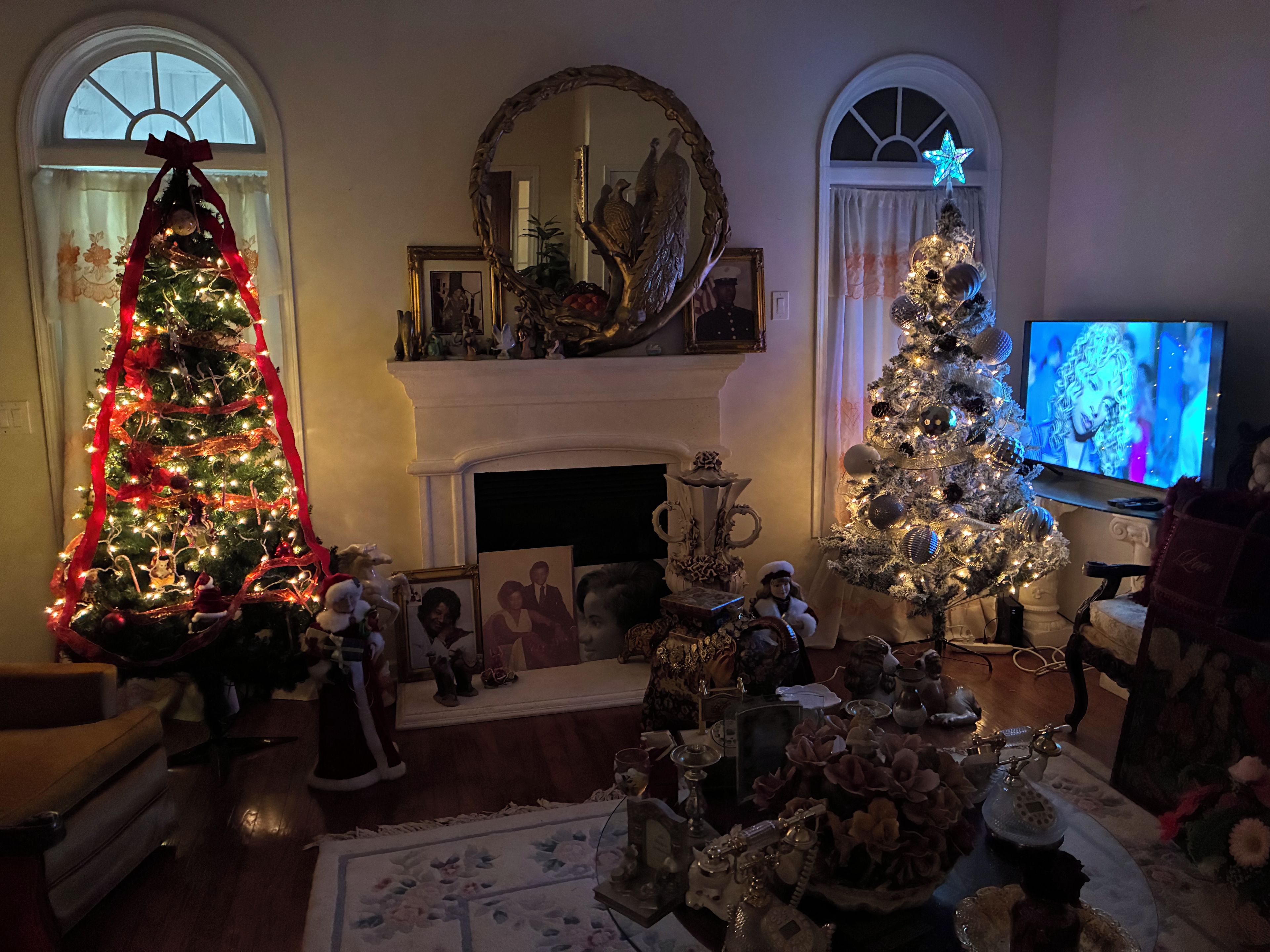 A living room with two decorated Christmas trees, a fireplace, and a television.