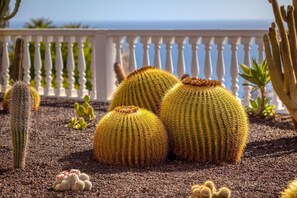 Property grounds - Stunning Villa with Breathtaking Ocean View (Mogán)