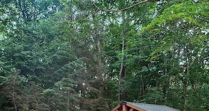 Secluded 2-bedroom cabin in Fredericktown