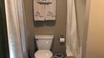 Serviettes fournies, savon, papier toilette
