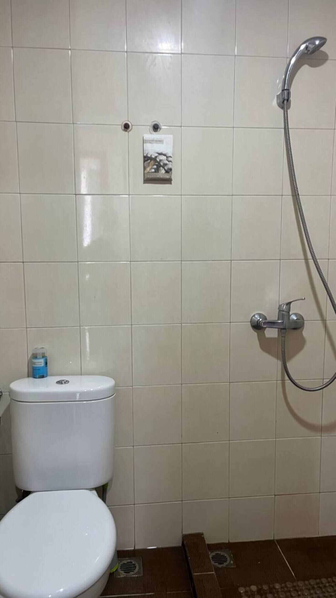 Kylpyhuone, jossa on wc, suihku ja pieni juliste seinällä.