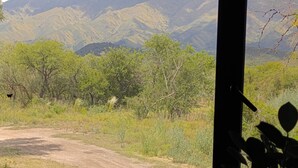A window view of a mountainous landscape with greenery and a dirt path. - COUNTRY HOUSE FOR 10 PEOPLE MERLO SAN LUIS (Córdoba)