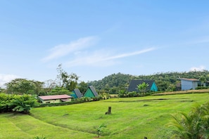 Un paysage rural avec des champs verdoyants, quelques maisons et une colline en arrière-plan.