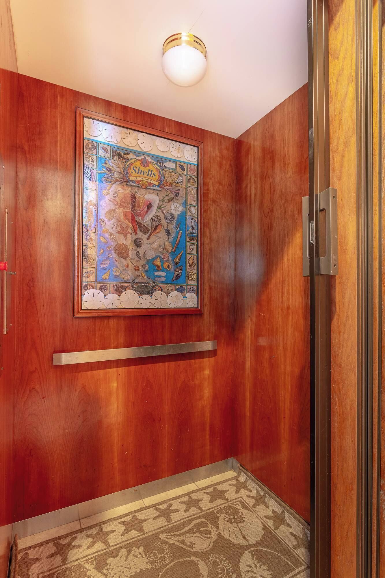 Una habitación con paneles de madera, un cuadro enmarcado concaracoles, una puerta con manija y una alfombra estampada en el suelo.