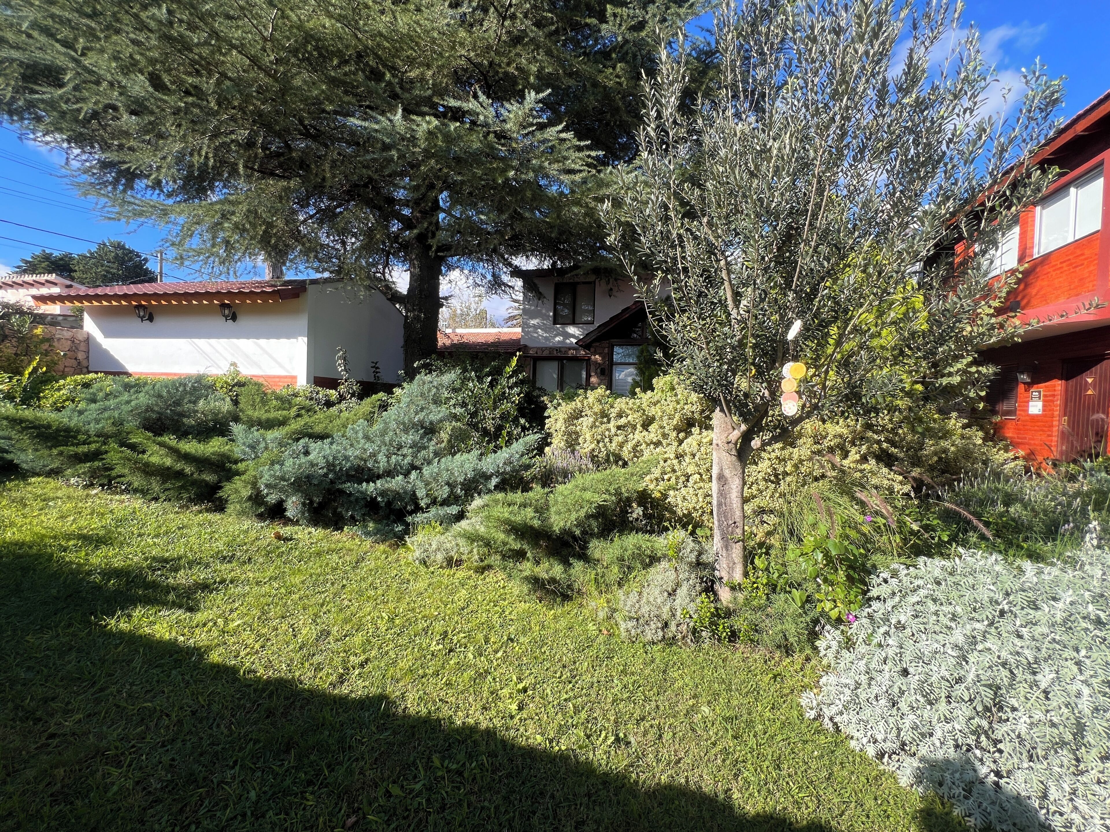 A residential area with a house, a tree, and a well-maintained garden.