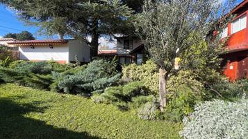 A residential area with a house, a tree, and a well-maintained garden.