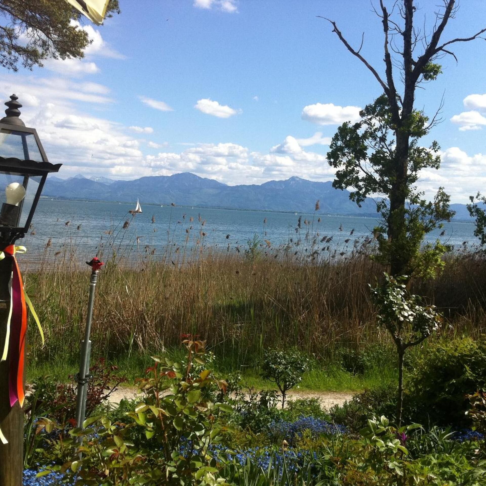 A lakeside view with mountains in the background, a clear sky, and a path leading to the water.
