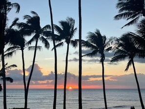 On the beach, sun-loungers, beach towels - Oceanfront Kihei Condo • Stunning Sunsets •  Beach Access •  Maui Getaway (Kihei)