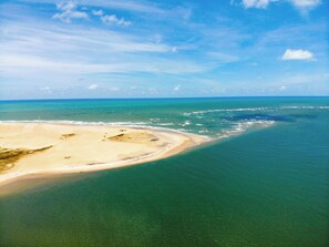 Ecotours - Pousada O leão (Piaçabuçu)