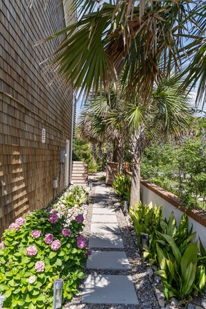 A pathway lined with plants and a palm tree, leading to a building with a wooden exterior. - 6 BR Oceanview, POOL, 2 Min walk to Beach, Game Rm (Kure Beach)