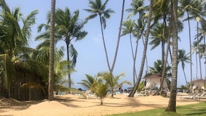 Une vue sur la plage, avec des palmiers, une zone herbeuse et une table avec un verre.