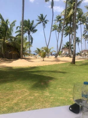 A beach view with palm trees, a grassy area, and a table with a glass. - COMFORTABLE & COZY TWO BEDROOM SUITE AT THE BEACH (Las Terrenas)