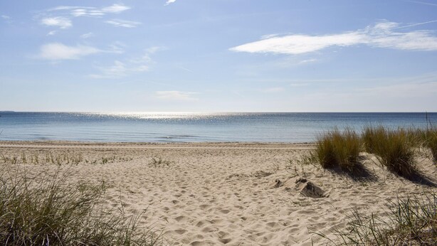 Ein Strand mit Sand, Gras und blauem Himmel.