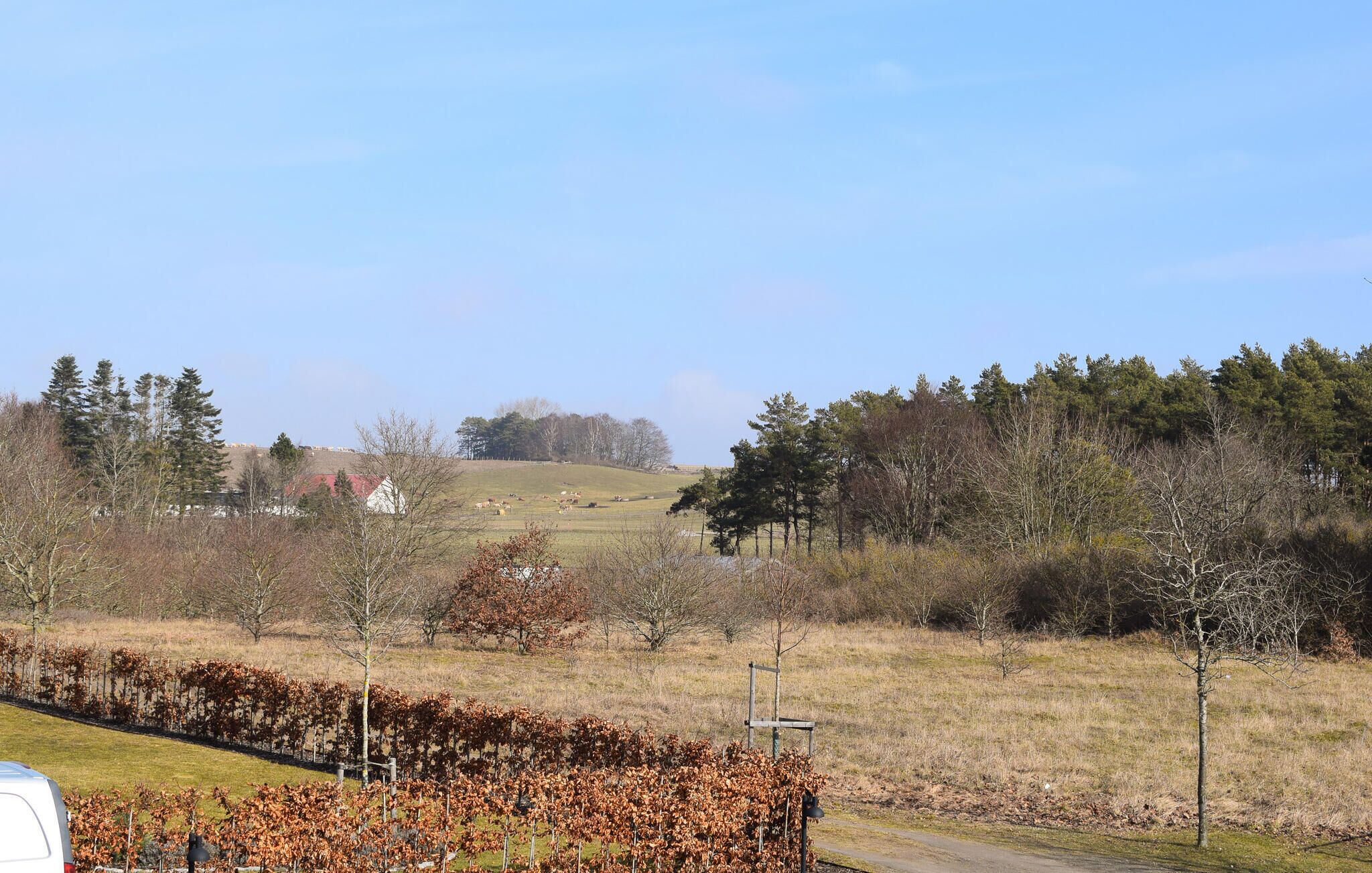 Een landelijk landschap met een weg, een wit gebouw en een veld met bomen.