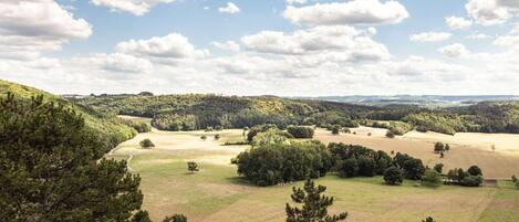 A rural landscape with fields, trees, and a hilly terrain.