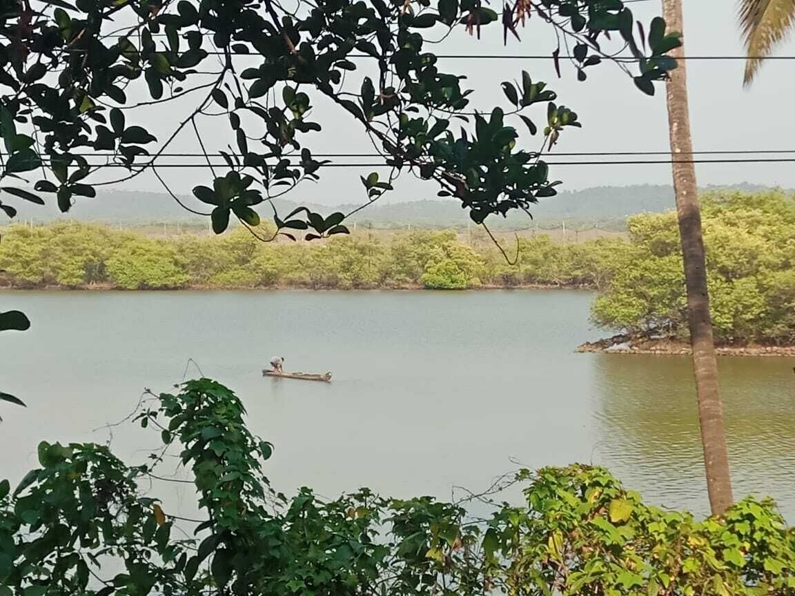 A calm lake with dense greenery and a single boat in the distance.