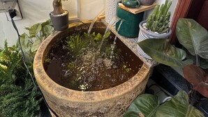 A potted plant, a water feature, and a lamp. - Miracle Boutique - Near Tan Dinh Church (Ho Chi Minh City)