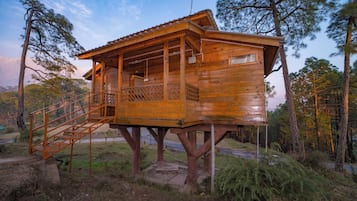 Casa na árvore elite