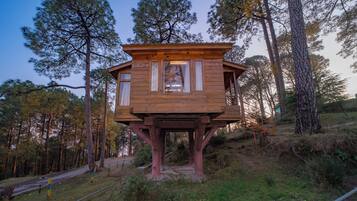 Elite Tree House