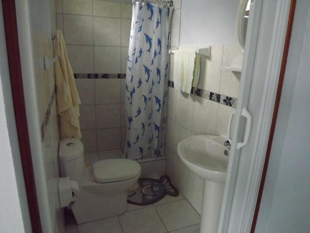 A bathroom with a toilet, a sink, a shower curtain with dolphin patterns, and a towel rack.
