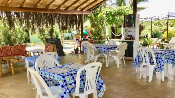 An outdoor dining area with white plastic chairs and tables, covered by a thatched roof, surrounded by greenery. - La Casa de Jessy (Máncora)