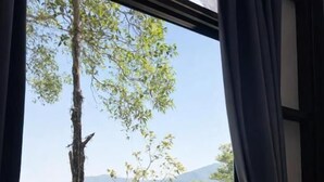 A window with a view of a tree and a mountainous landscape. - Drifter's Anchor (Ko Chang)