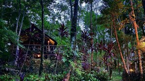 A wooden cabin surrounded by dense tropical vegetation. - Drifter's Anchor (Ko Chang)
