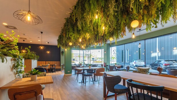 Um interior moderno com mesas e cadeiras de madeira, plantas penduradas e grandes janelas.