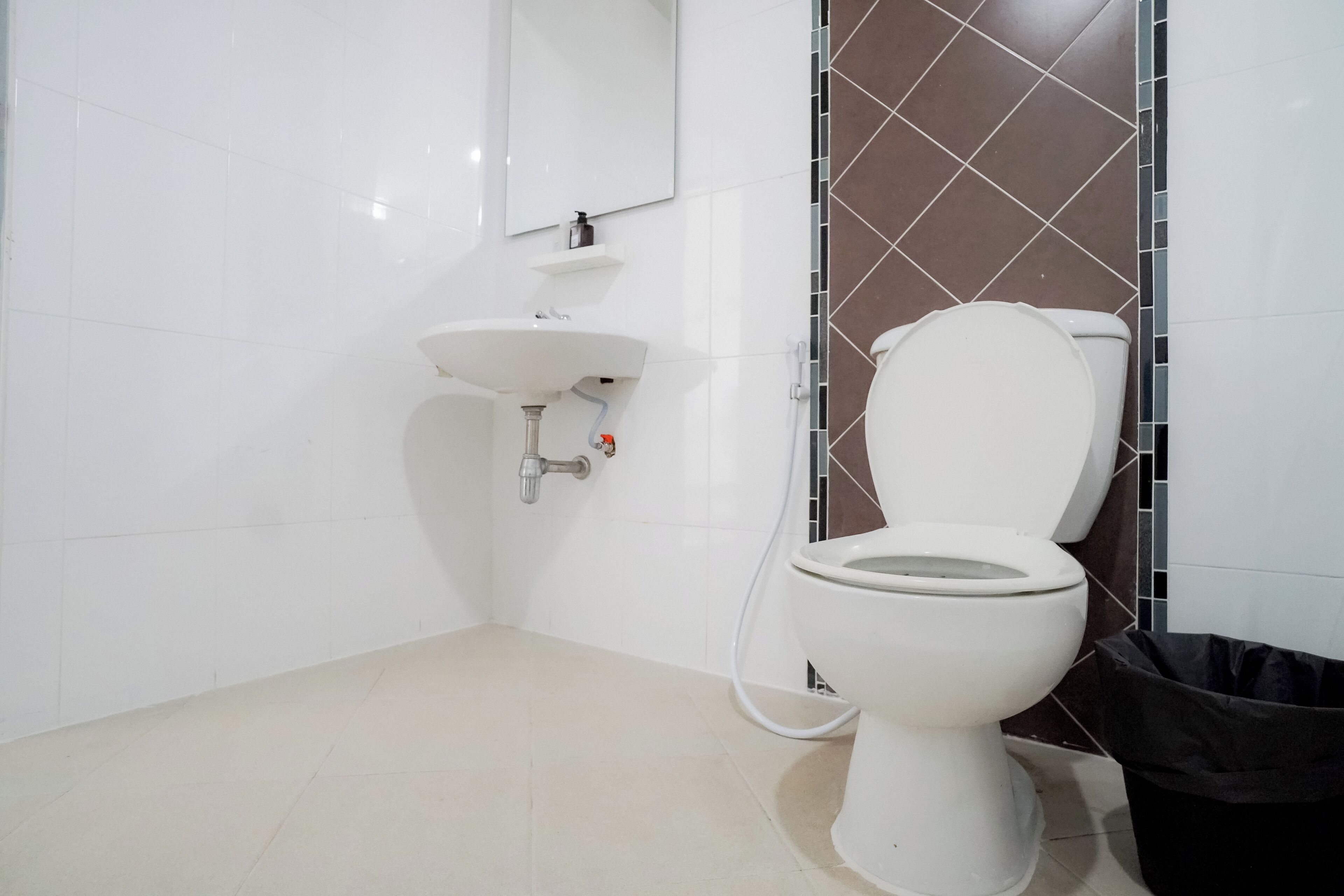 Baño con inodoro blanco, lavabo y espejo.