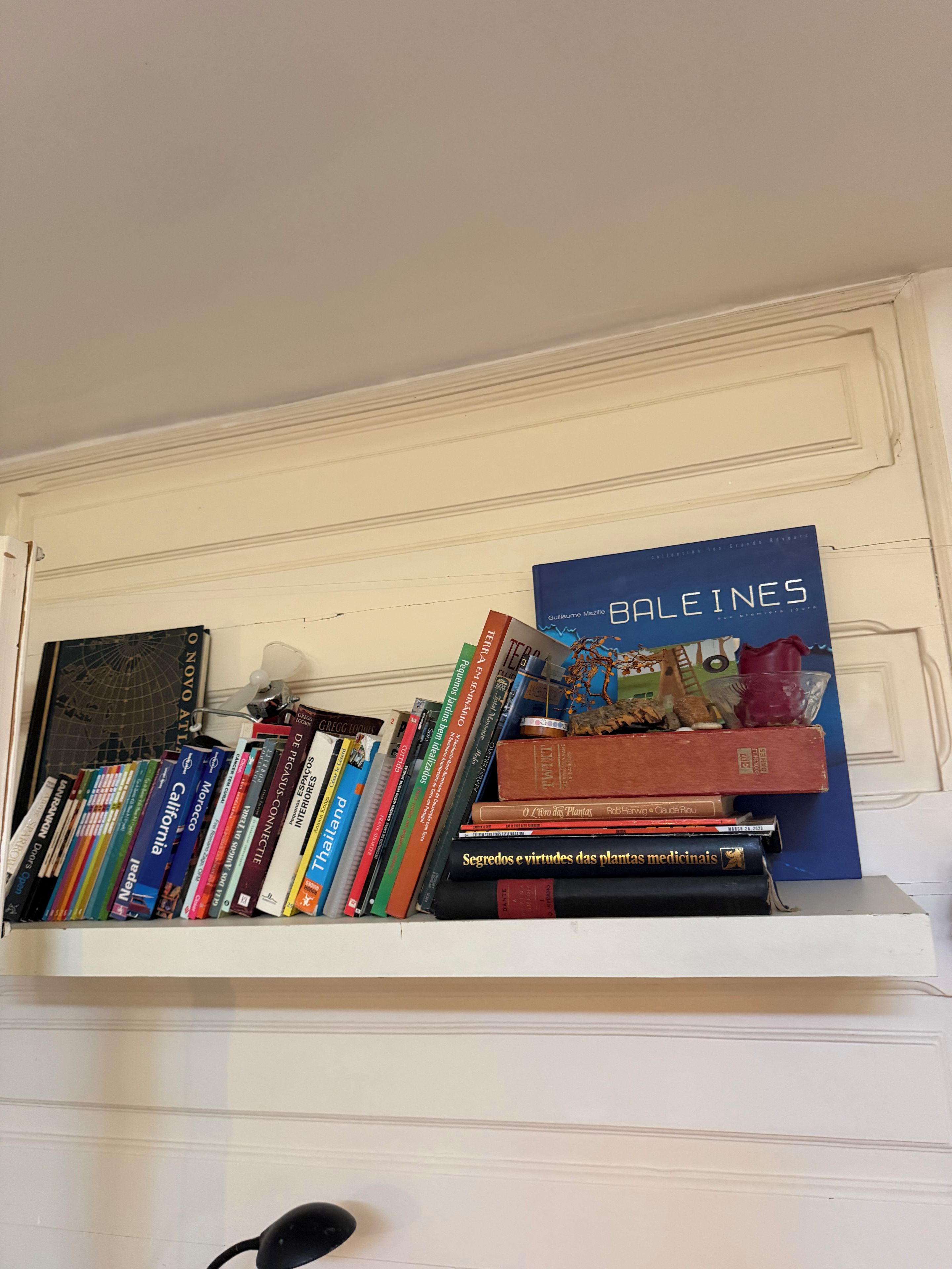 Uma estante com vários livros e um globo.