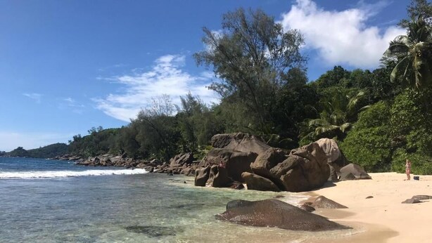 Une plage à l’eau claire, bordée de gros rochers et d’une végétation luxuriante.