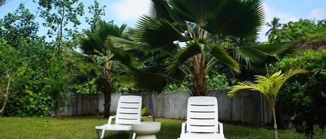 A grassy area with two white lounge chairs and a small palm tree.