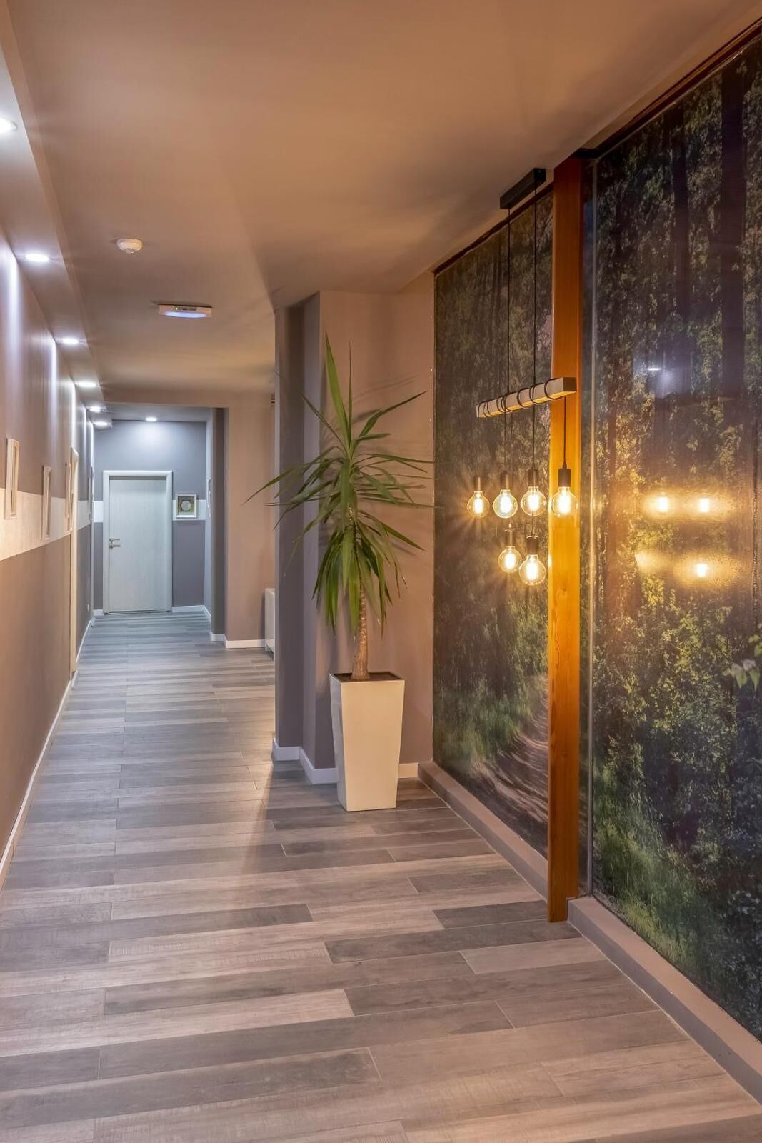 Un pasillo con suelo de madera, una planta en maceta, una lámpara de pared y una puerta al final.