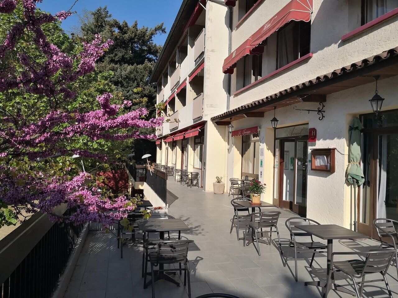 屋外ダイニングエリア