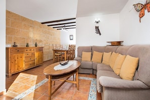 Smart-TV, Kamin