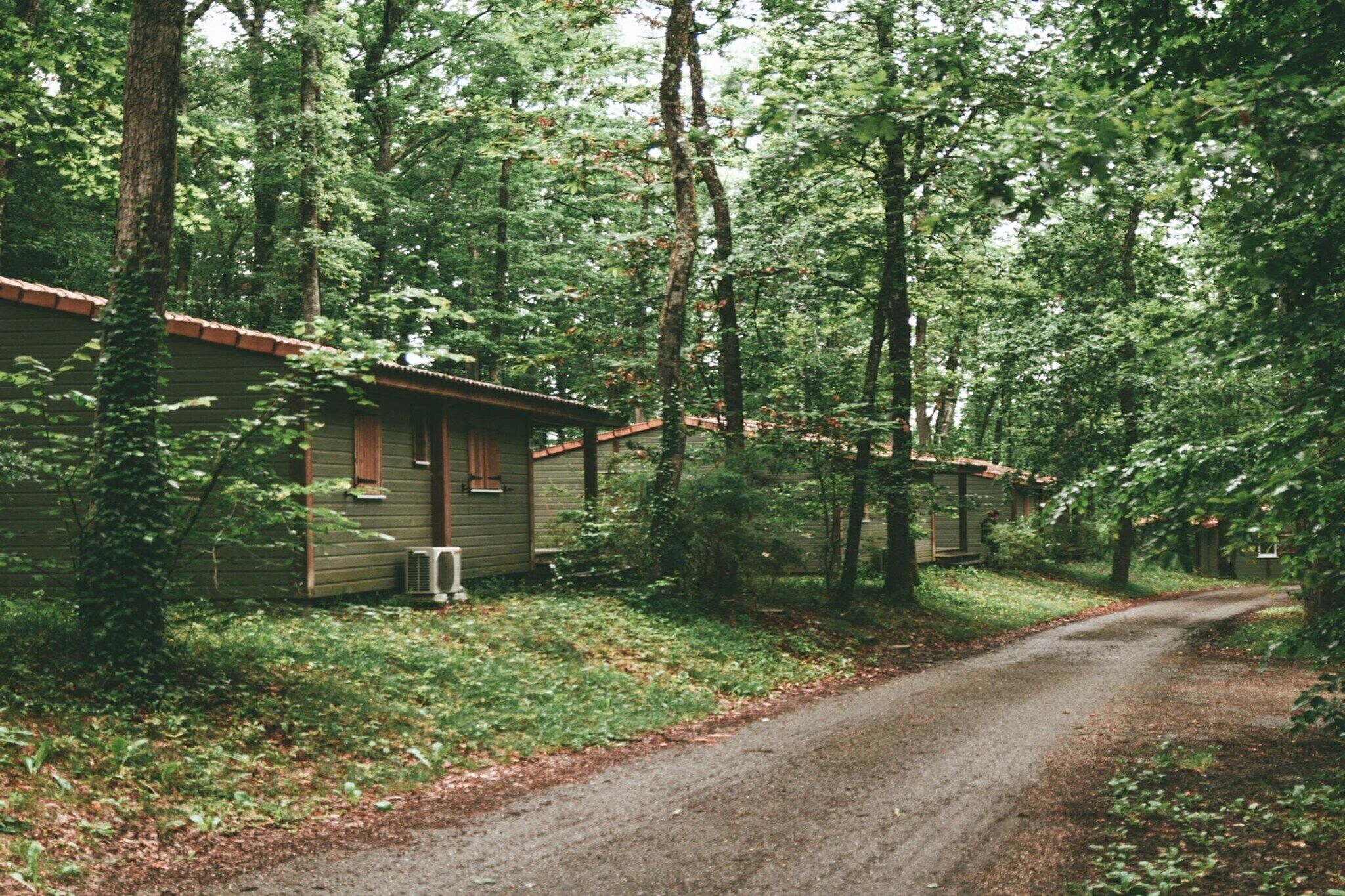 A row of cabins with a dirt path leading through a wooded area.