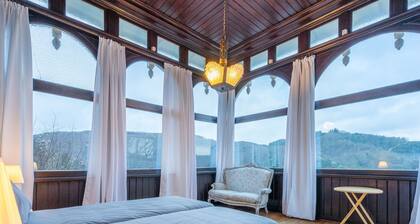 Elegant castle for 12 guests