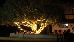 Ein Baum mit Lichterketten, im Hintergrund ein Gebäude und Sitzgelegenheiten im Freien.