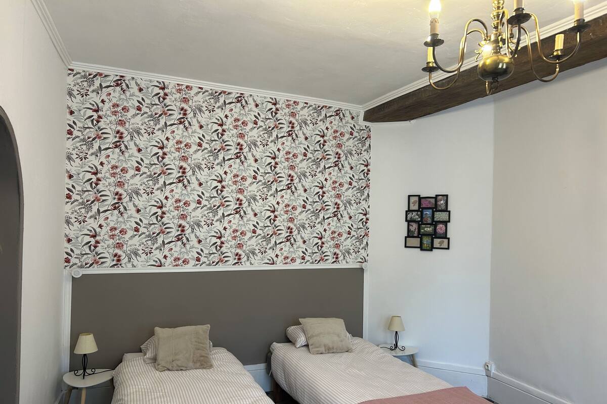 Une chambre avec deux lits, un papier peint à motifs floraux, un lustre et un petit tableau décoratif au mur.