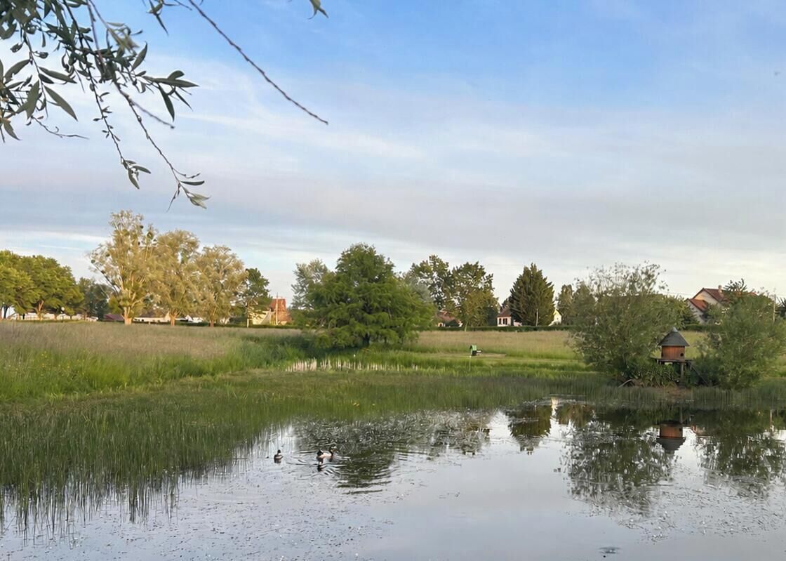 A calm lake with reflections, surrounded by trees and houses in the background.
