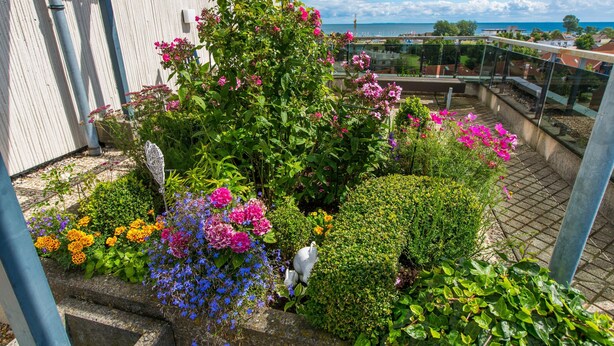 Un jardín en la azotea con diversas plantas en flor y vistas al mar.
