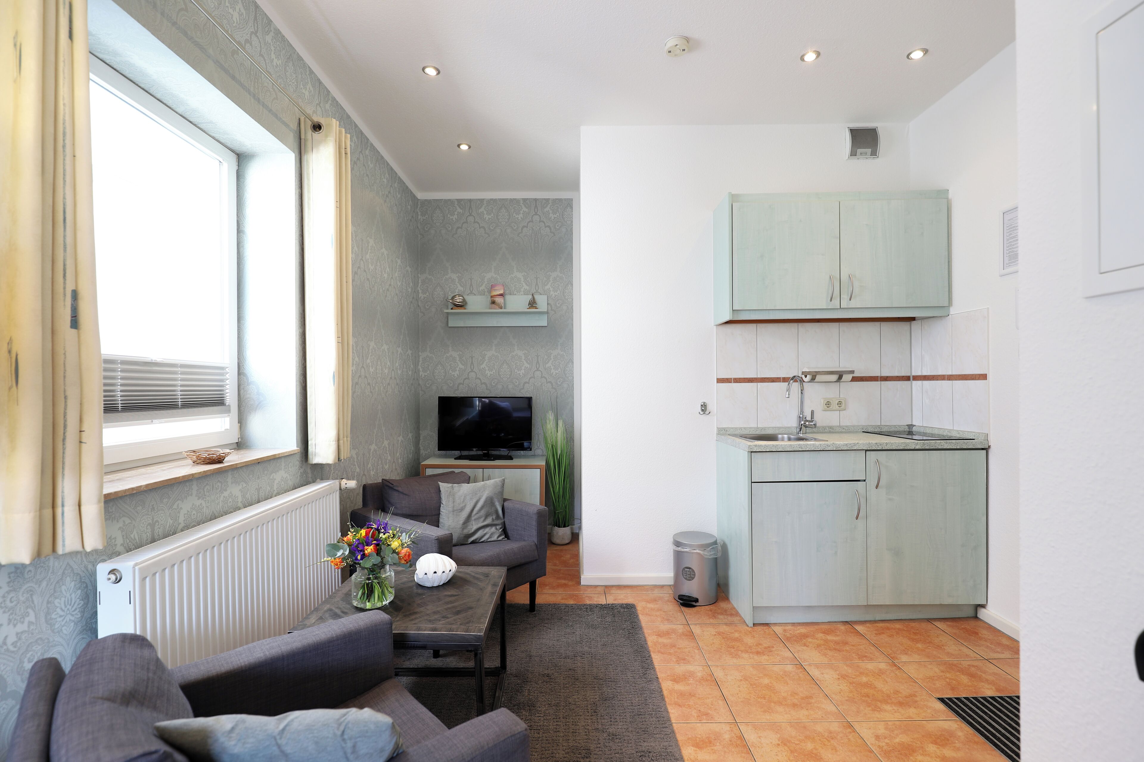 Ein gemütlicher Wohnraum mit Sofa, Fernseher, Küche und Heizkörper.